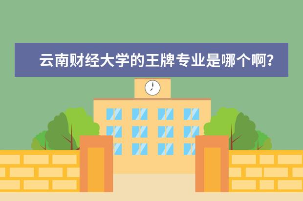 云南财经大学的王牌专业是哪个啊？
