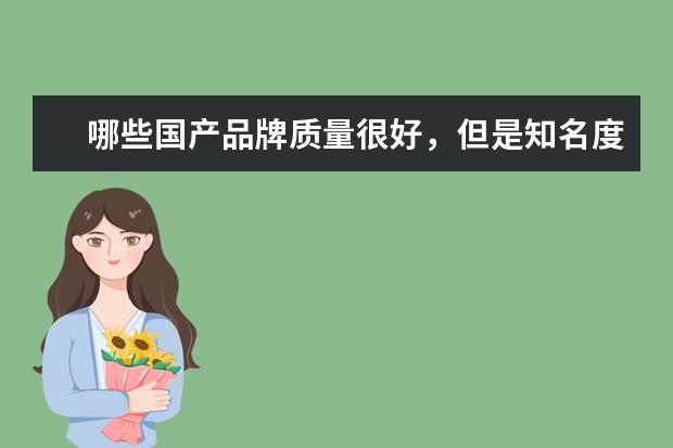 哪些国产品牌质量很好,但是知名度不够?
