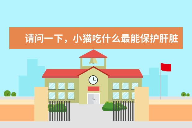 请问一下,小猫吃什么最能保护肝脏,小猫吃什么对肝脏比较好?