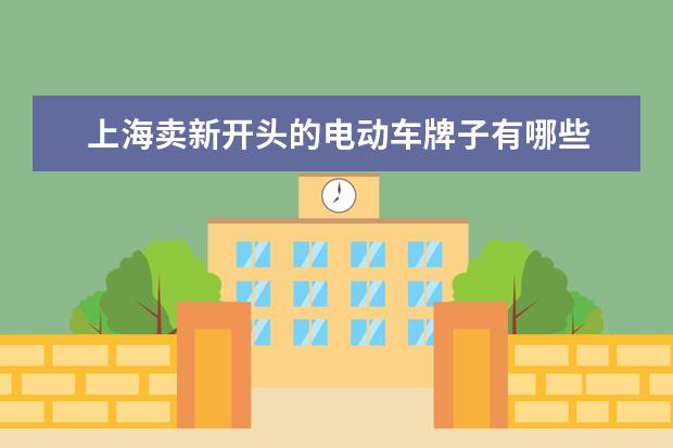 上海卖新开头的电动车牌子有哪些