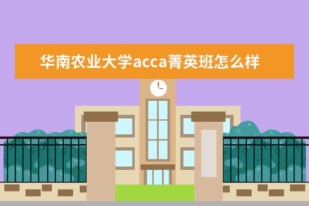 华南农业大学acca菁英班怎么样?就业发展如何?
