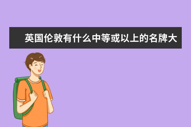英国伦敦有什么中等或以上的名牌大学比较好？