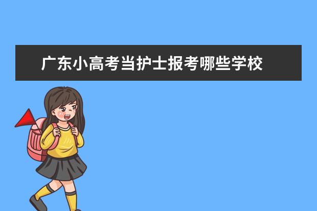 广东小高考当护士报考哪些学校