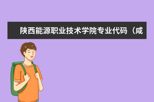 陕西能源职业技术学院专业代码（咸阳校区）（南京理工大学紫金学院专业代码）
