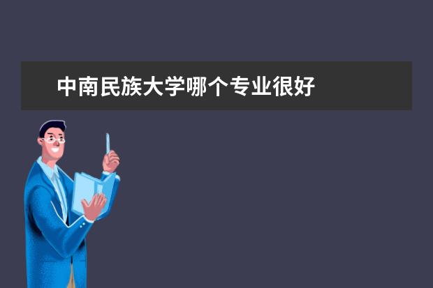 中南民族大学哪个专业很好