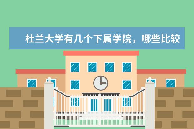 杜兰大学有几个下属学院，哪些比较出色？