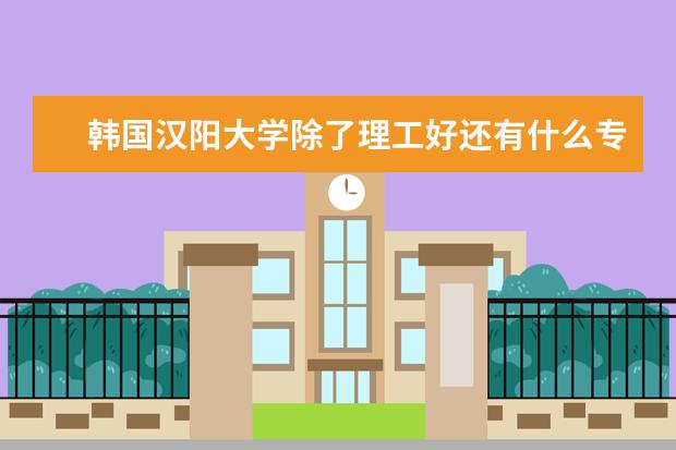 韩国汉阳大学除了理工好还有什么专业好一些啊?艺术类不考虑