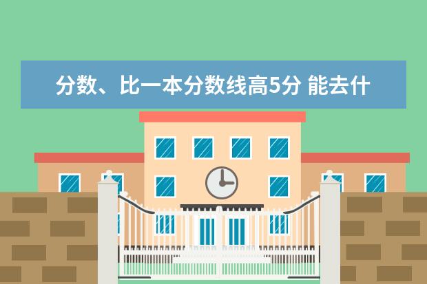 分数、比一本分数线高5分 能去什么学校??