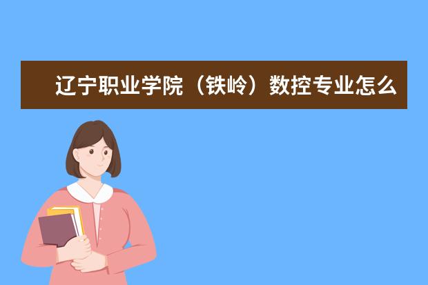 辽宁职业学院（铁岭）数控专业怎么样？
