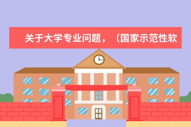 关于大学专业问题，（国家示范性软件学院排名）