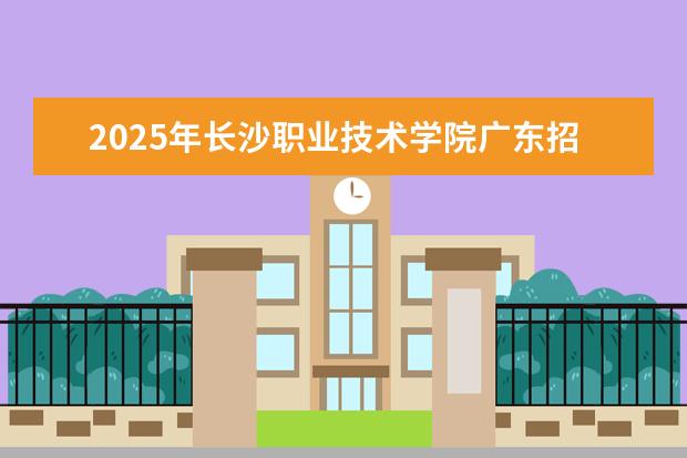 2025年长沙职业技术学院广东招生计划