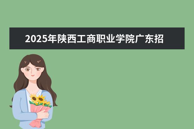 2025年陕西工商职业学院广东招生计划