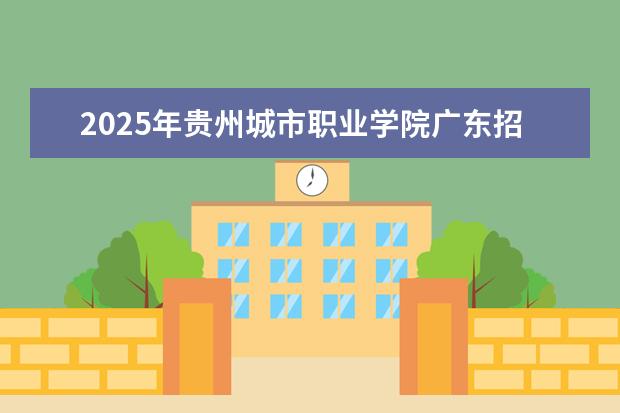 2025年贵州城市职业学院广东招生计划
