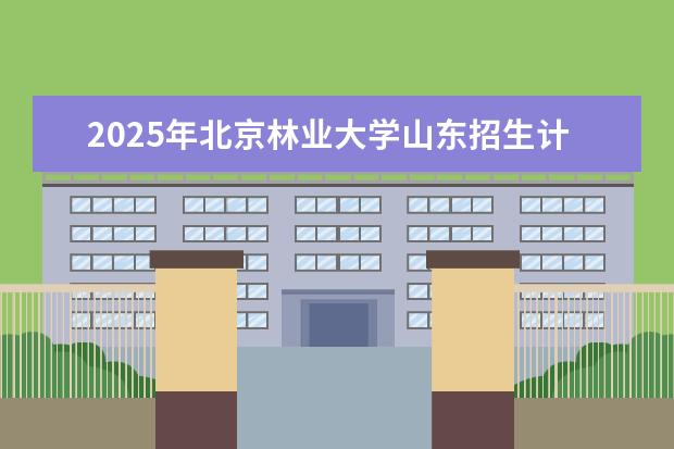 2025年北京林业大学山东招生计划